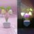 Mushroom Night Light | LED Night Lights | Flower Lamp Bedroom Baby room Lamps For Family, Friend or Kids Gifts (Random colors)